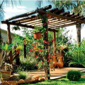 Simple yet charming home garden ideas | Gurgaon | Noida | Delhi NCR